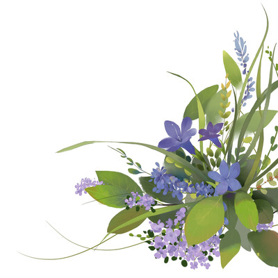 兔子的果園 插畫藝術(shù)與花卉包裝的商業(yè)邂逅